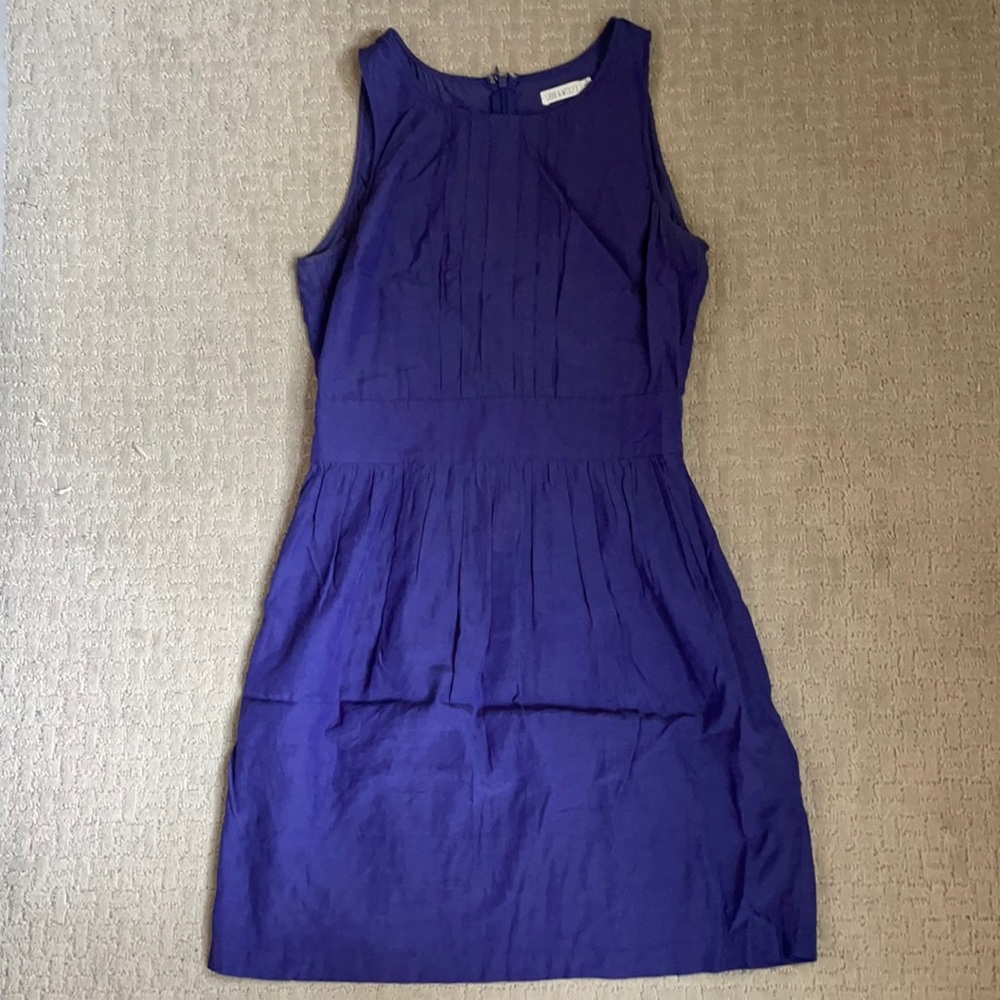 Purple-blue dress
